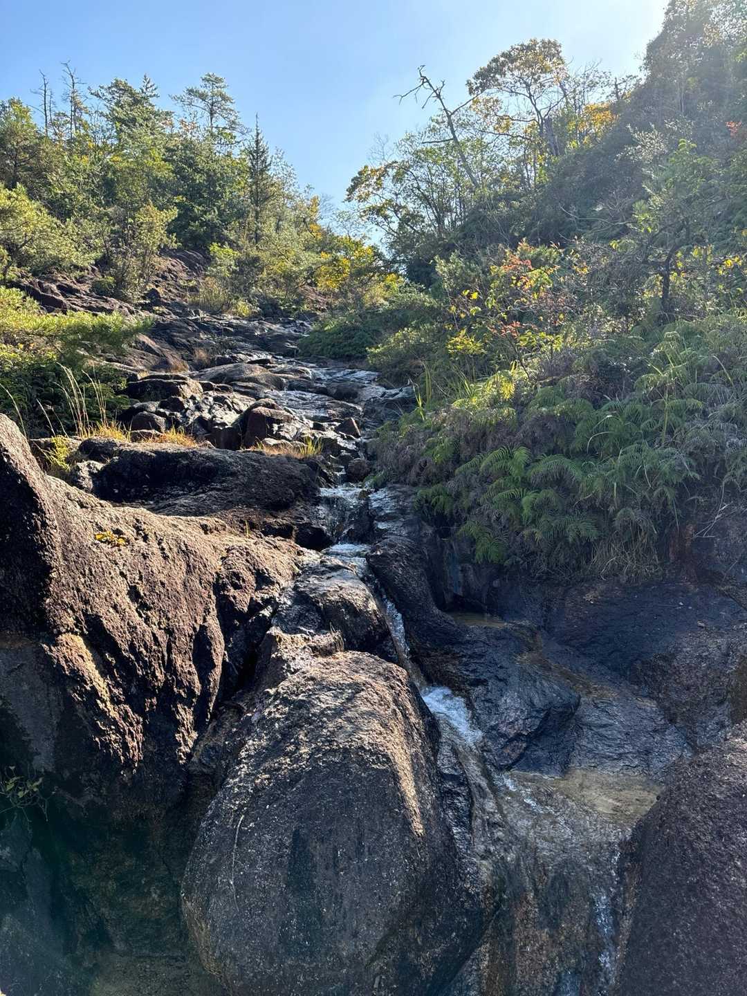 ここをの右手を登ります