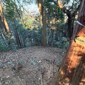 太鼓曲輪の分岐に戻ってきました
尾根ルートで八王子城跡方面に下山します
