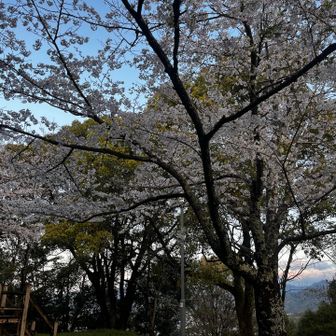「筆山」という山らしい
山頂には公園