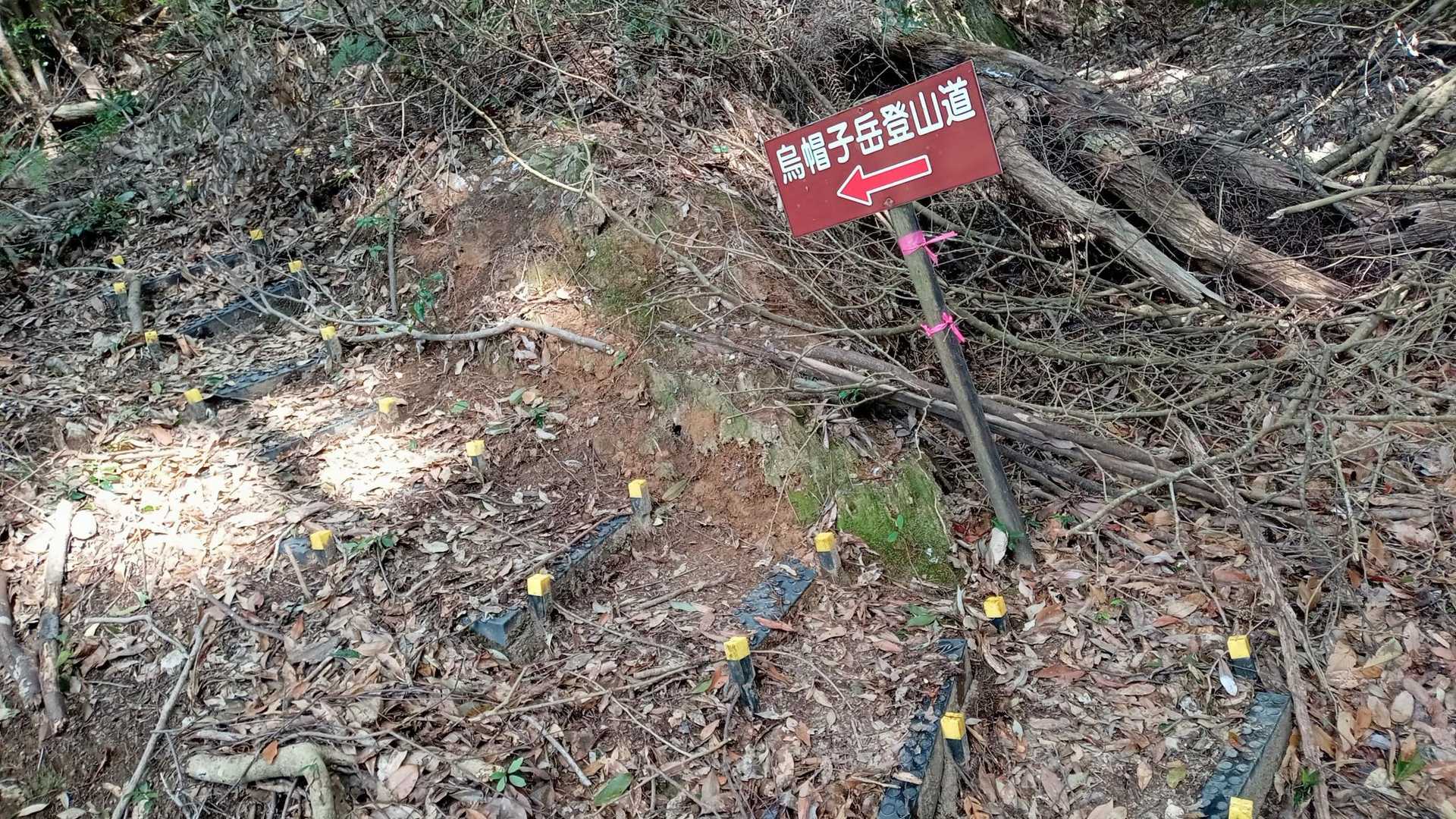 烏帽子岳登山道！

今思えば、ここからが本格的な登山だね🥳