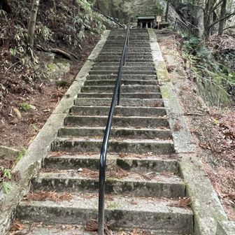 本堂に続く階段…意外と長い💦