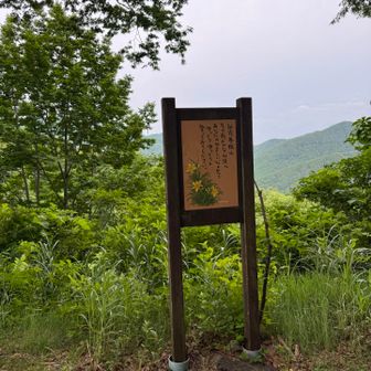 越後と言えばスキーとヘギそばと・・・温泉かな。