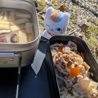 たまには山飯クッキング～😸
秋の炊き込みご飯とみそ汁。
温まるー