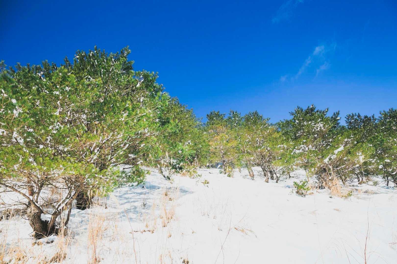 いいお天気です〜🩵🏔️☃️