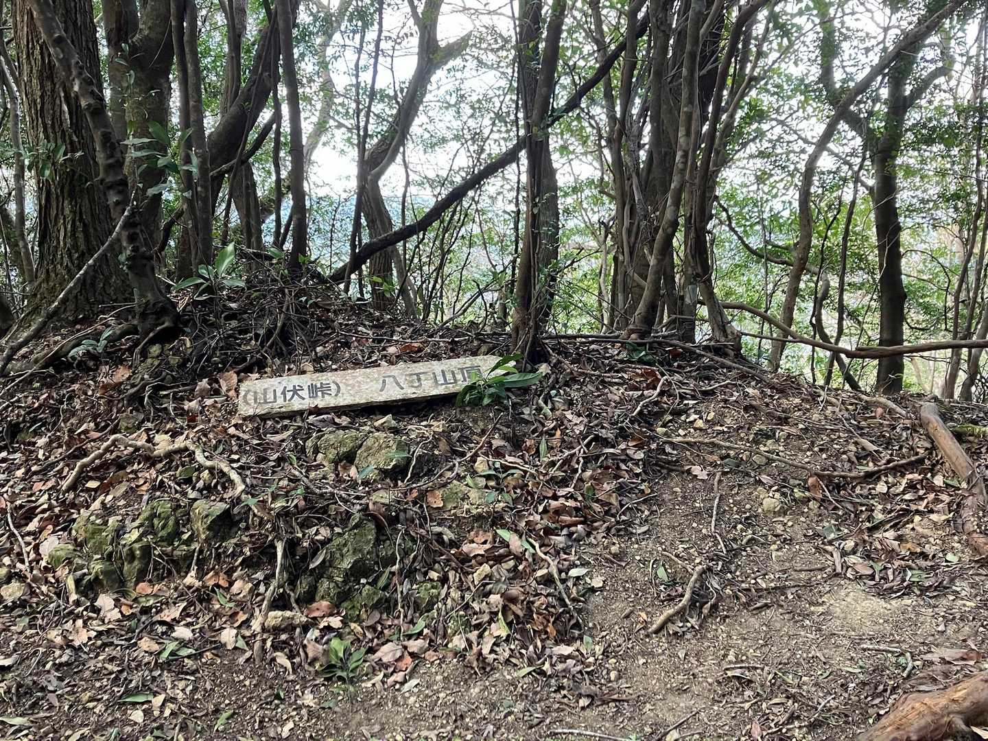 またちょっと上がって標識あり
山頂へは右へ→
上がっていく時はわかりやすいけど、下りていく時にちょっと見逃しそうになりました
（下りていく時は左折になります）
相方さんが気付きました👍