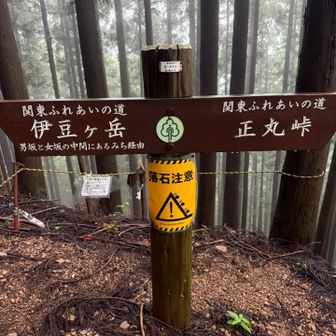 女坂は崩落の為こんな標識が。
男坂と女坂の中間にあるみちって。
ジェンダーレス🤭