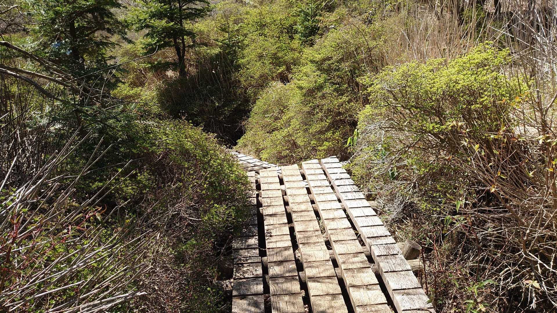 韓国岳登山口-韓国岳-つつじヶ丘登山口 周回コースの写真