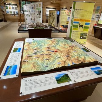 あまり時間が取れないのでささっと見学
