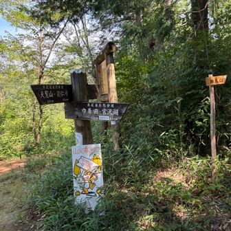 天覧山方面へ