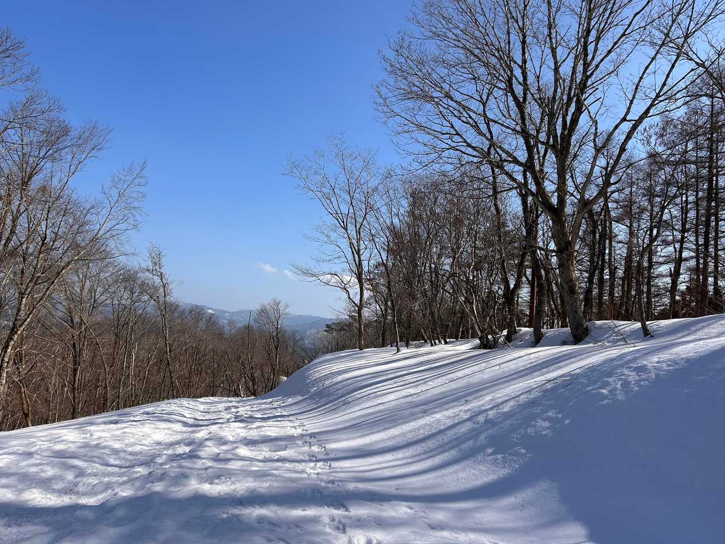 満喫満足して、名残惜しいけど、下山です