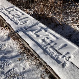 誰にも会わず
童心に帰れました。