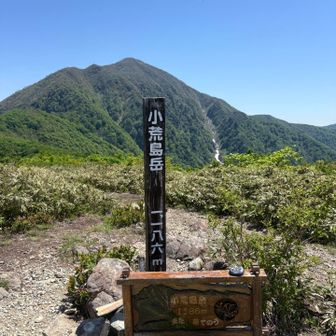 寄り道してよかった　とてもかわいらしい山頂の小荒島岳
山頂標の向こう側がさっき登った親分