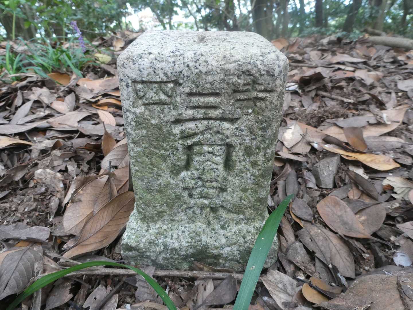 三角点見っけ(^^♪