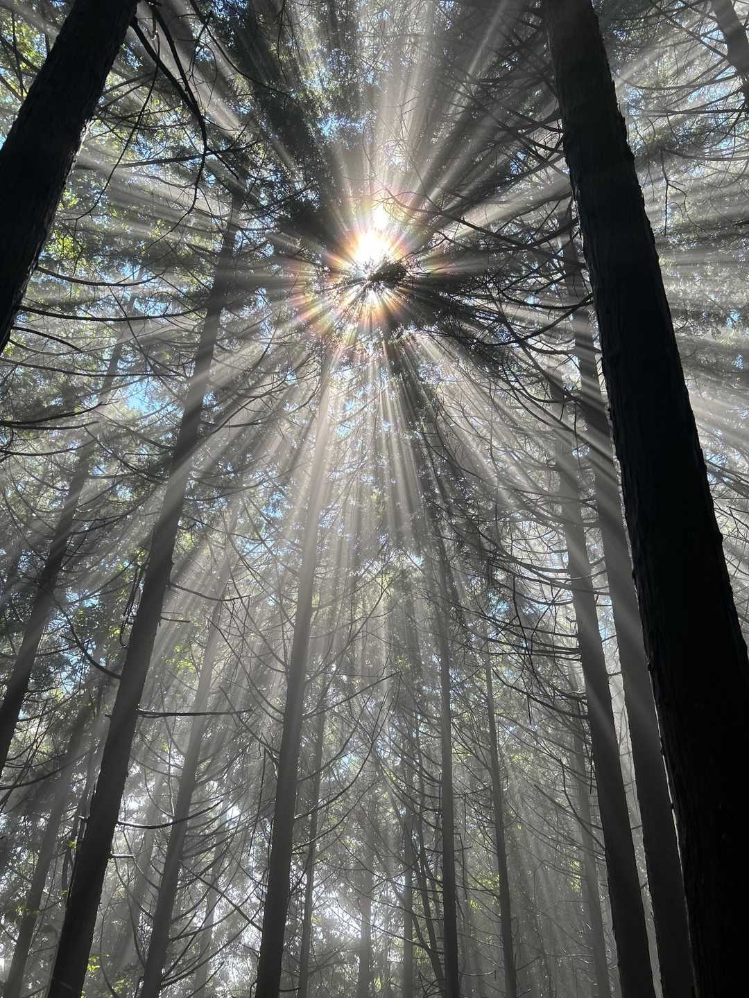 おー、すごい！！

水蒸気が上がっていく粒が見えたけど
写真では撮れませんでした！