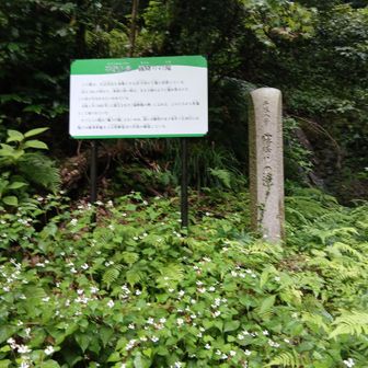 霧降の滝についた