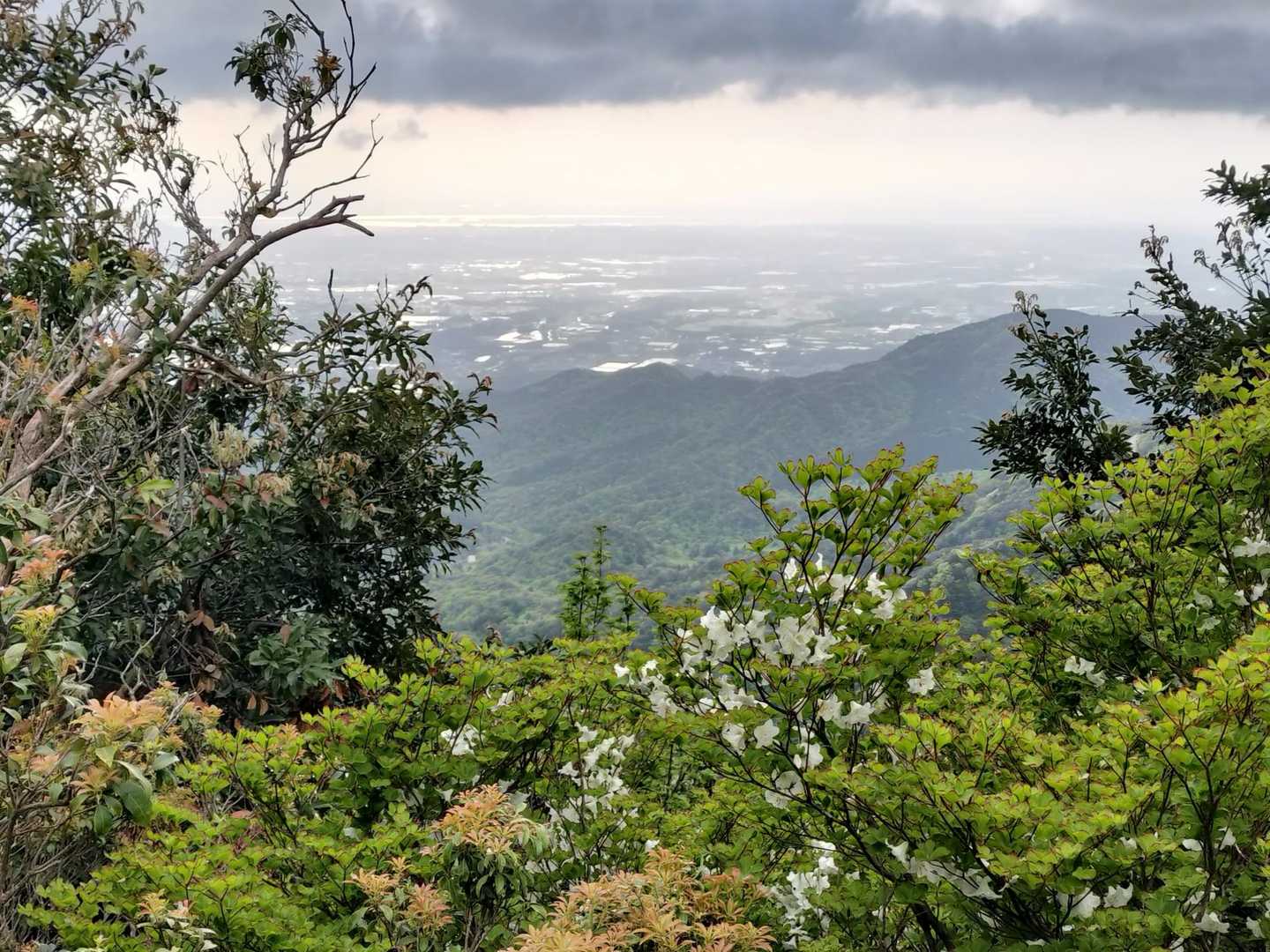 石榑峠-三池岳 往復コースの写真
