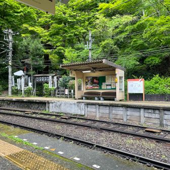 反対のホームから👀
駅の左側にあるのが銭洗のところ！
こんな駅の中にあるなんて不思議〜