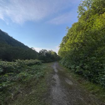 旧登山口に着いた
ここからの林道が長いよね〜
帰りは