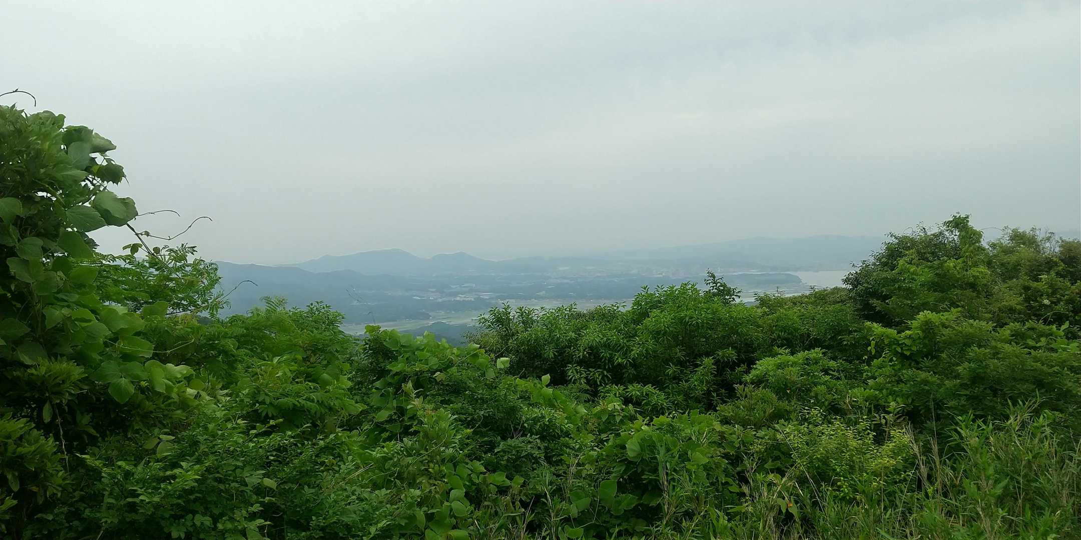 朝日山 往復コースの写真