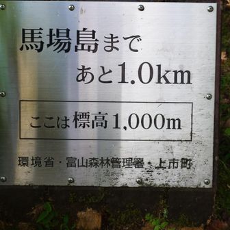 馬場島から1km歩いてきたんだね🚶‍♀️
この標識がこの後も、200m事にあり目安となる