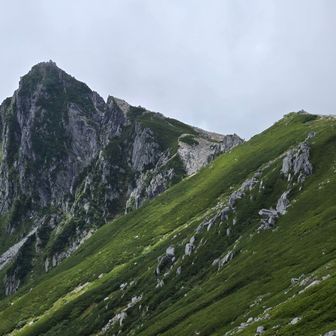 随分灰色の雲に覆われてきました