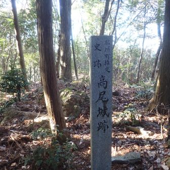 城跡のようだ。高尾？