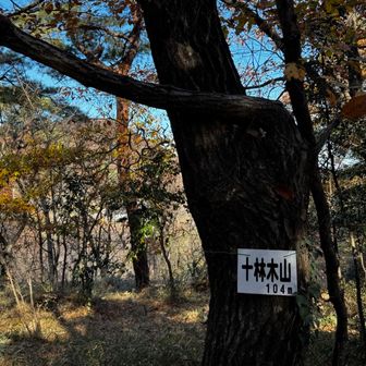 なんて読むんかな？