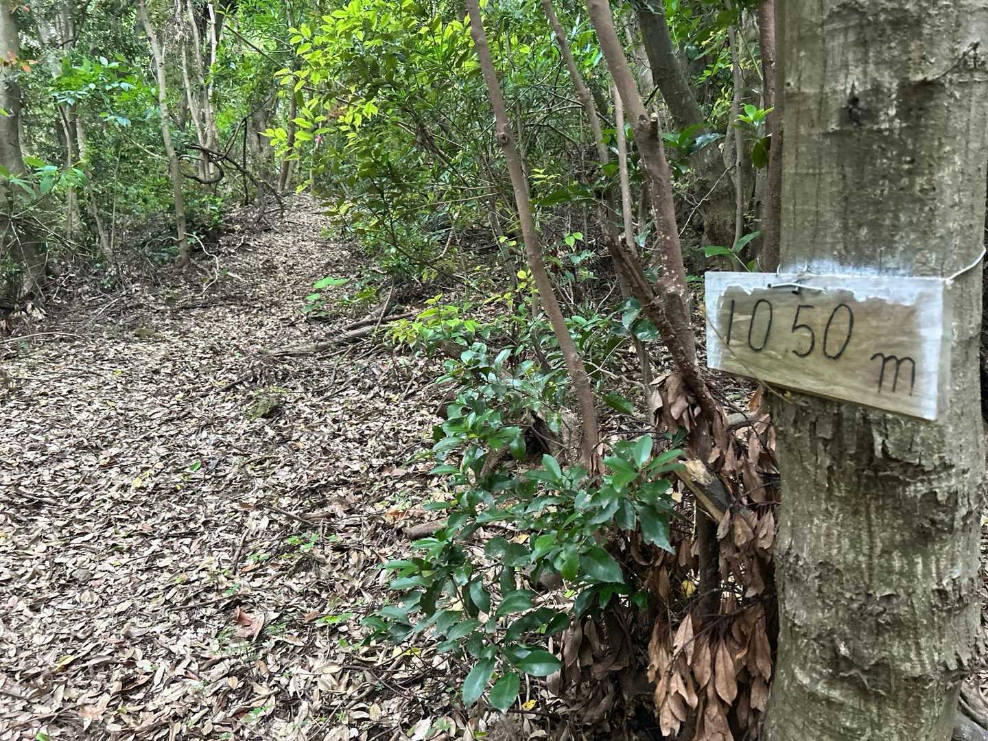 山頂まであと1050m地点
