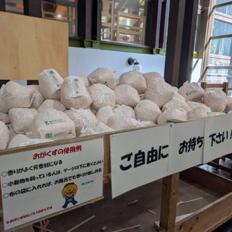 戻りました〜
森林館では木工製品の展示や作業をしている所を見学できます✨

おがくず
いい匂い✨️