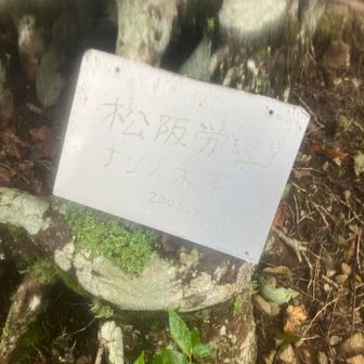 ナンノ木平？
まで来ました

撮影しても、字読めんやん🤣