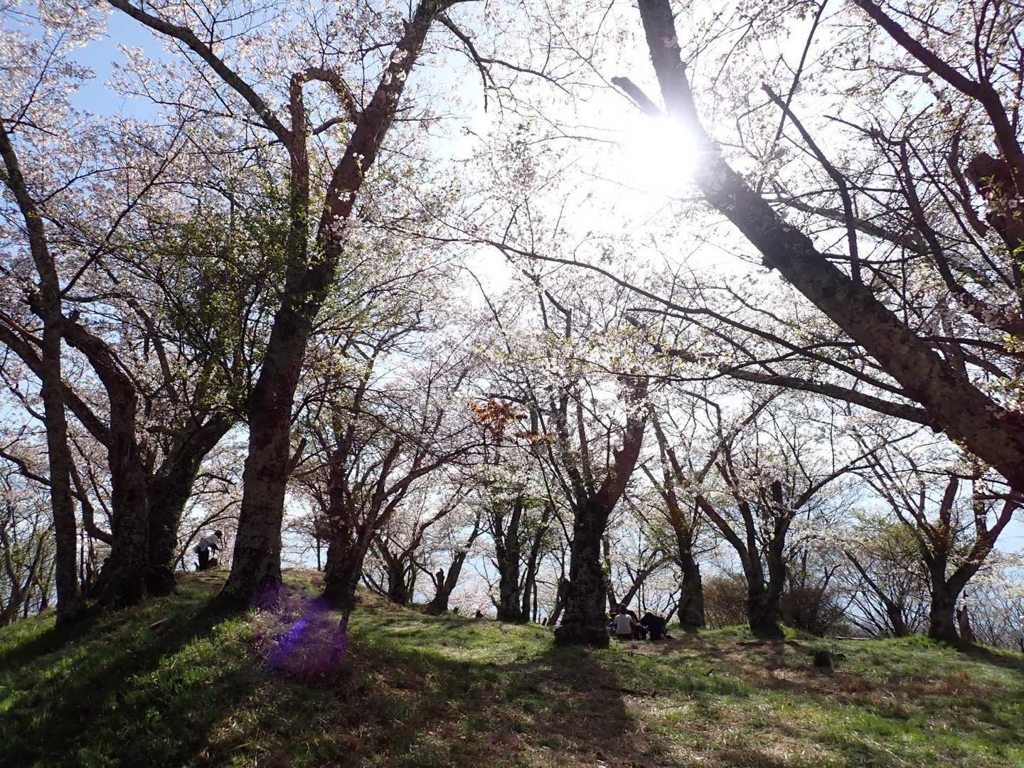 素敵な山🥰