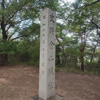 ここから折り返す