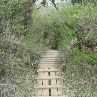 ヤビツ峠へはこちらから