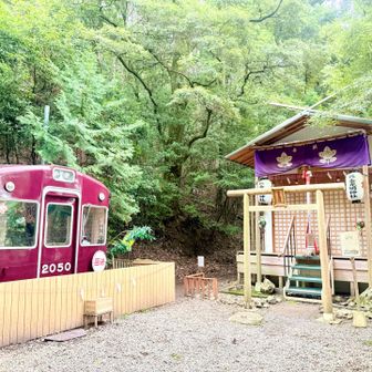 艮金光明神社⛩️お詣りは二礼四拍手一礼です👏