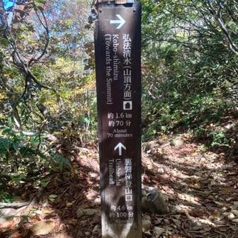 時間があれば裏磐梯からも登ってみたい