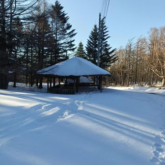 休憩している場合じゃない。