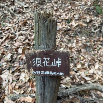 須花峠まで降りてきてまた登る