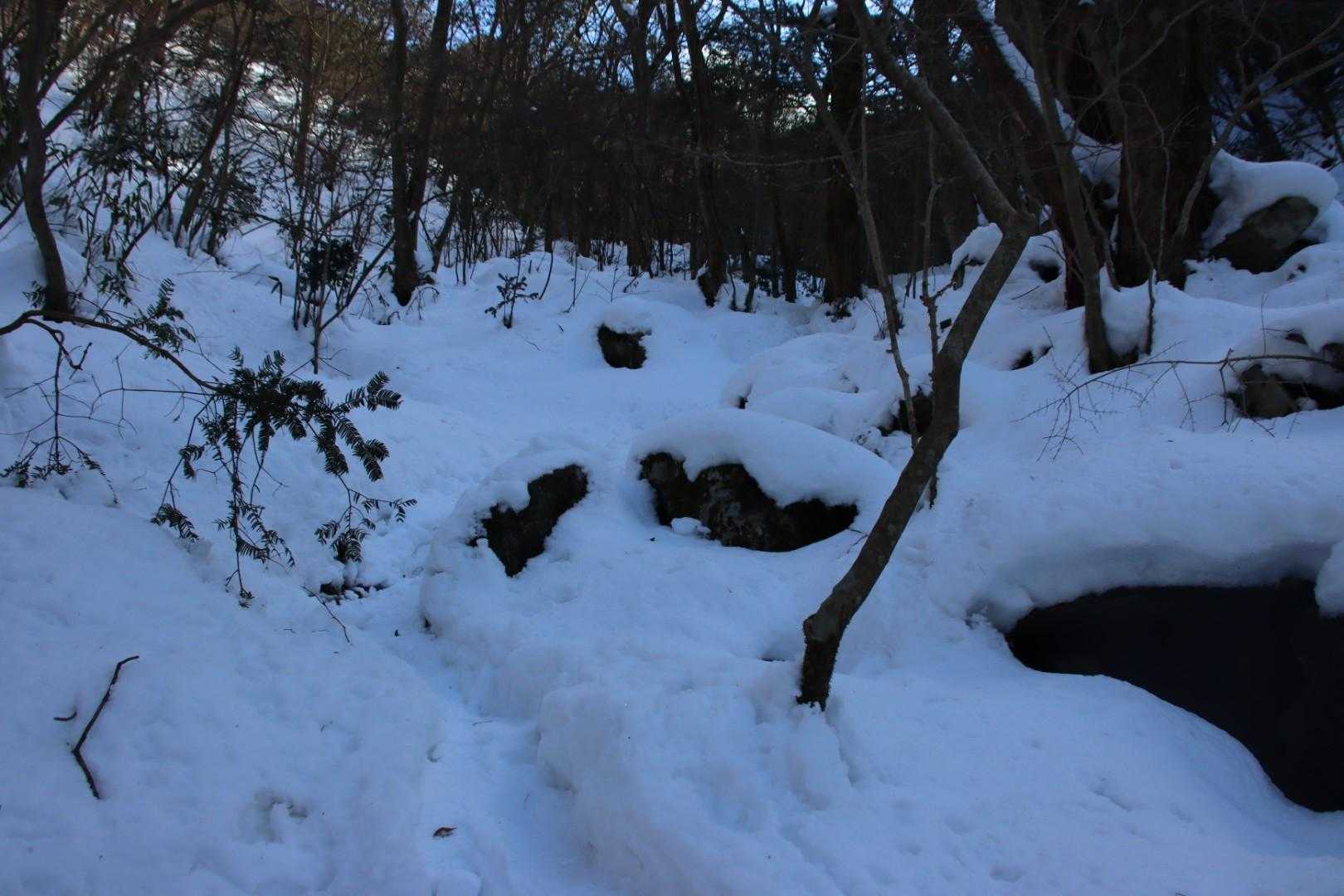 九州の風景なのか？
(笑)

関東よりも雪ある🤣
トレース外れるとだいたい30cmくらいの深さ