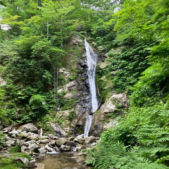 この長い梯子を登ります