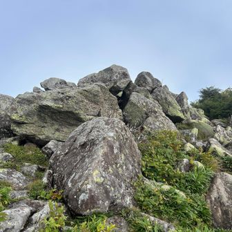 岩がゴロゴロ。きつかった
