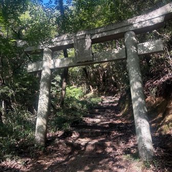 妙見山鳥居⛩️まできたら
山頂まであと少し💪