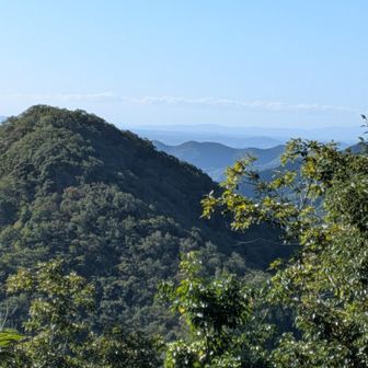 明石海峡大橋も手前の山の右に見えるらしい〜👀