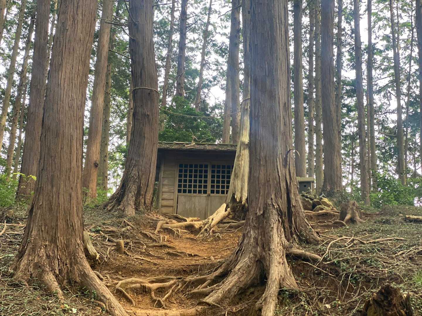 日和田山登山口-金刀比羅神社-日和田山-高指山-小瀬名富士 往復コースの写真