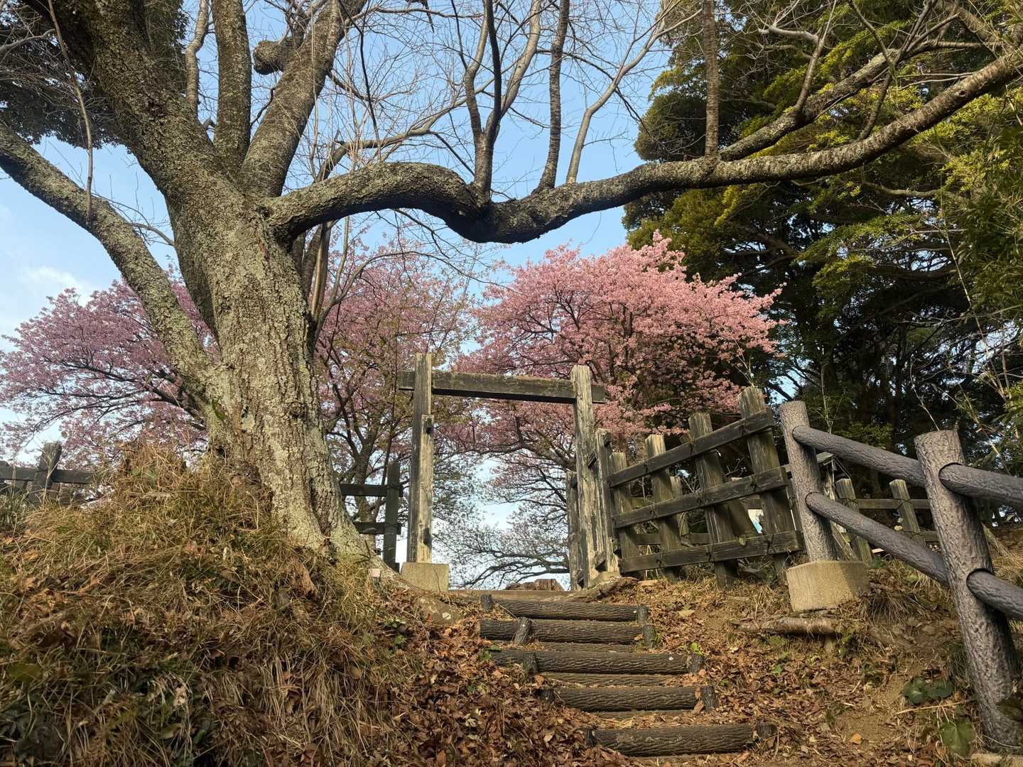 階段を登れば、山頂…