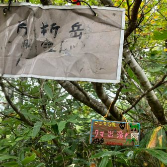 何故か登りでいつも見落としてます
片折岳山頂の看板