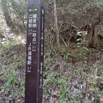 ここに来るまで迷いに迷う💦
徒渉ポイントを間違えて少しエライことになります💦
方向は合ってるのに、なんかズレてる！
おかしい、おかしいとなって、徒渉ポイントまで戻る↩
すると偶然にも登山者の姿が見えて、登山道を発見🤣
こっちは大勢で迷ってるから、恥ずかしいやらなんやらみんなで大笑い😂
確かに取り付きに立ち入り禁止って書いてあったのよ😭