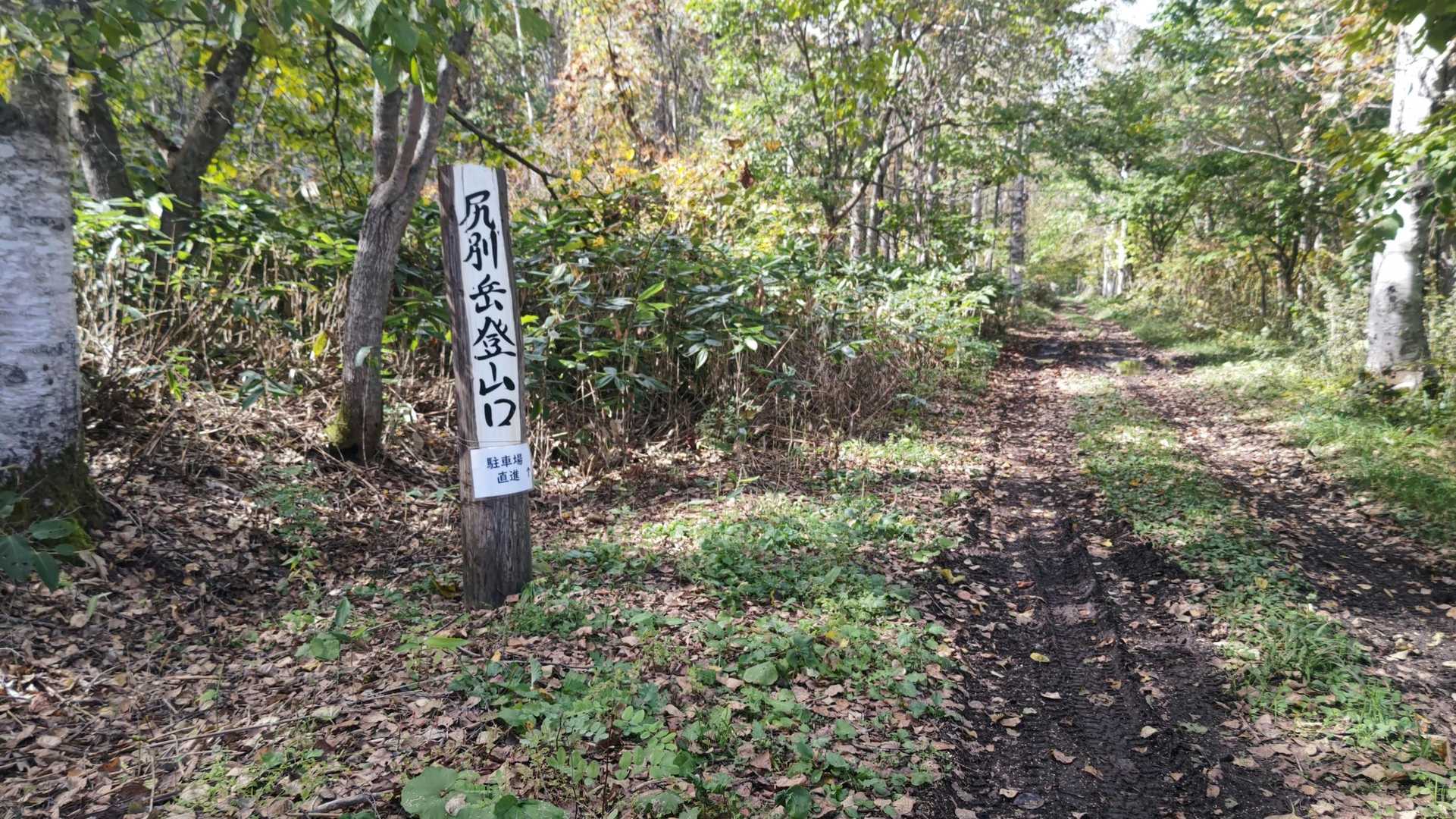林道走行中 分岐があり 曲がらす真っ直ぐ進めの登山口はこちら標識