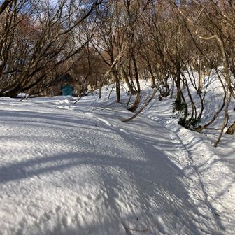 月惜小屋への道。

遅い出発だったので、ここで引き返します。

ここまではツボ足でOKでした。