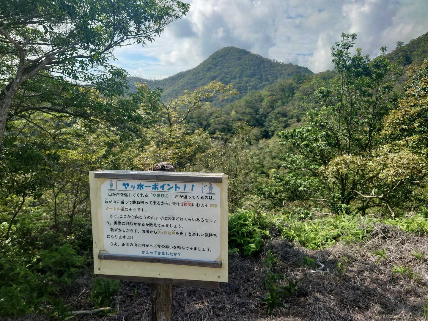 やっほ〜。意外に急登でした。