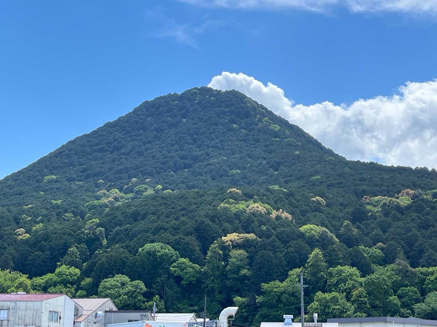 女山・三上山（近江富士） / あんずの登山データ | YAMAP / ヤマップ
